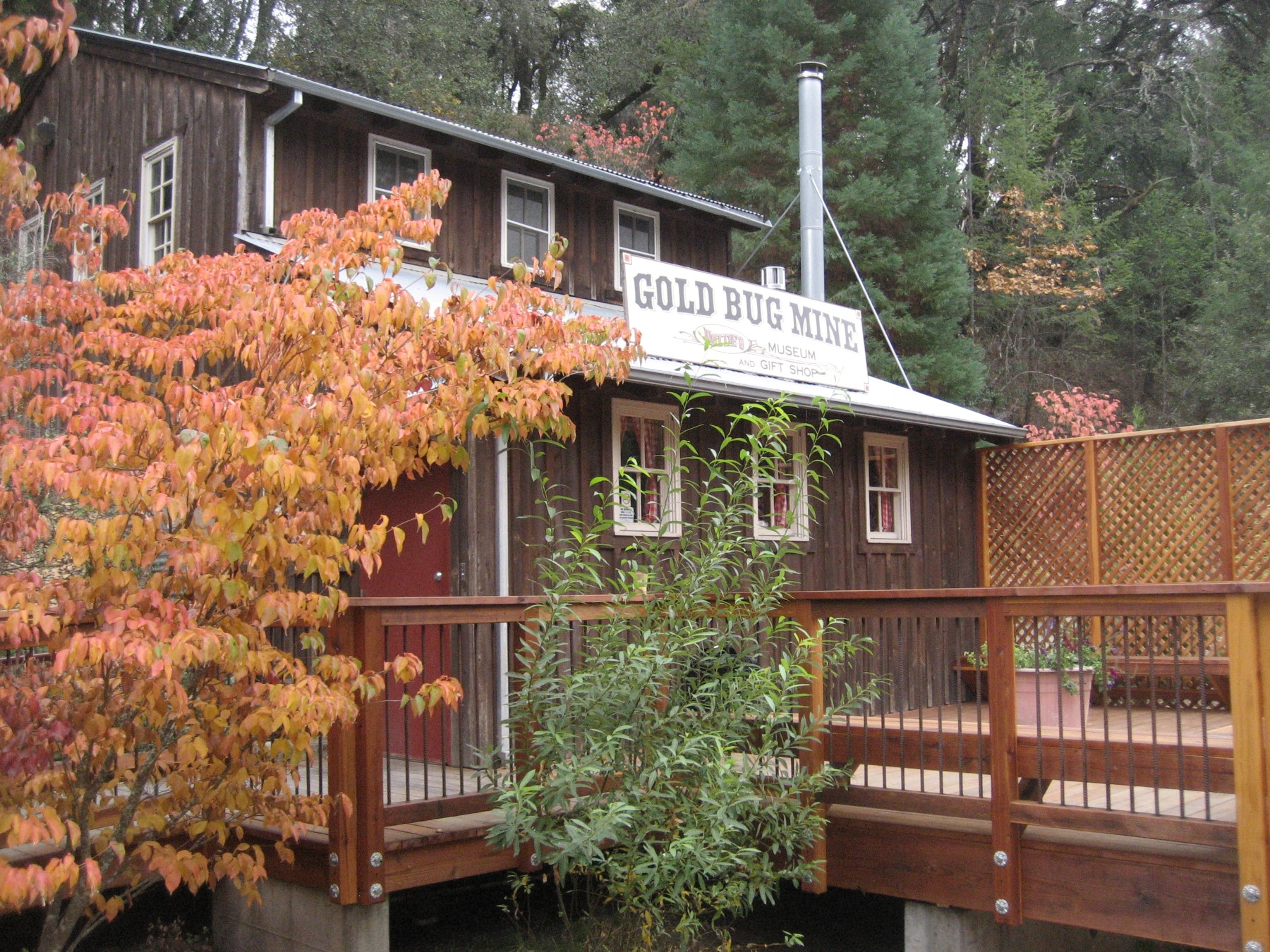 Fall colors at Gold Bug Park.JPG